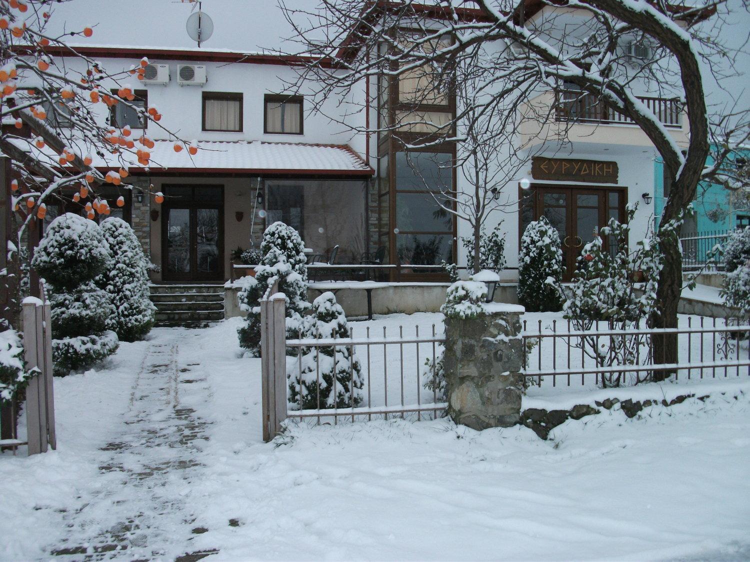 Evridiki Hotell Vergina Exteriör bild